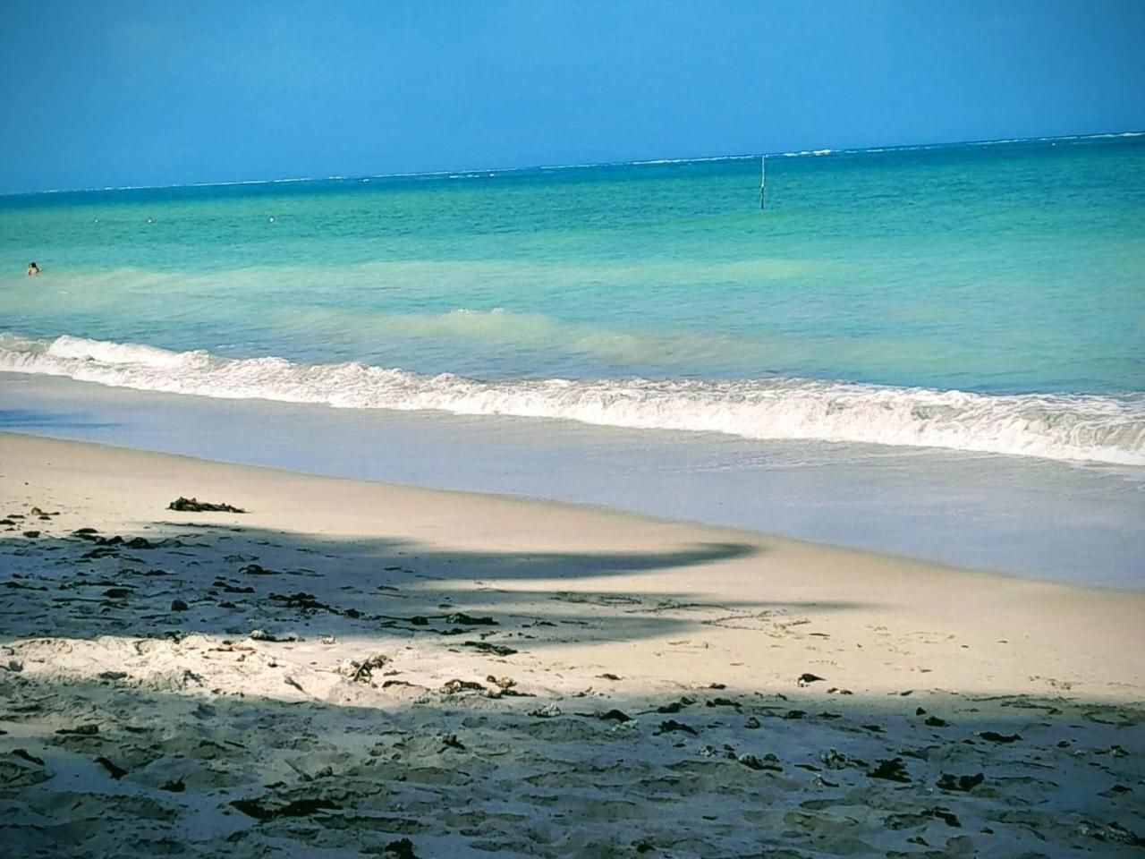 Pousada Flor Da Barra マラゴージ エクステリア 写真
